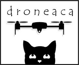 droneaca.com